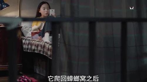 李则则爆料自己姐姐视频,真相与争议  第2张