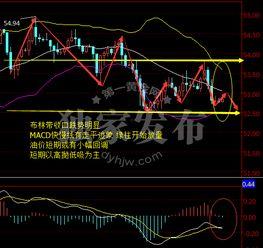 最新爆料油价走势分析,最新爆料揭示未来走势趋势